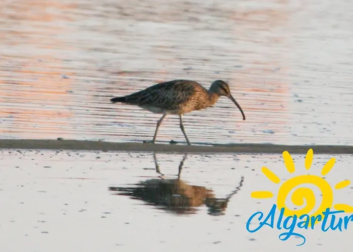 Pegada By Algartur Tavira