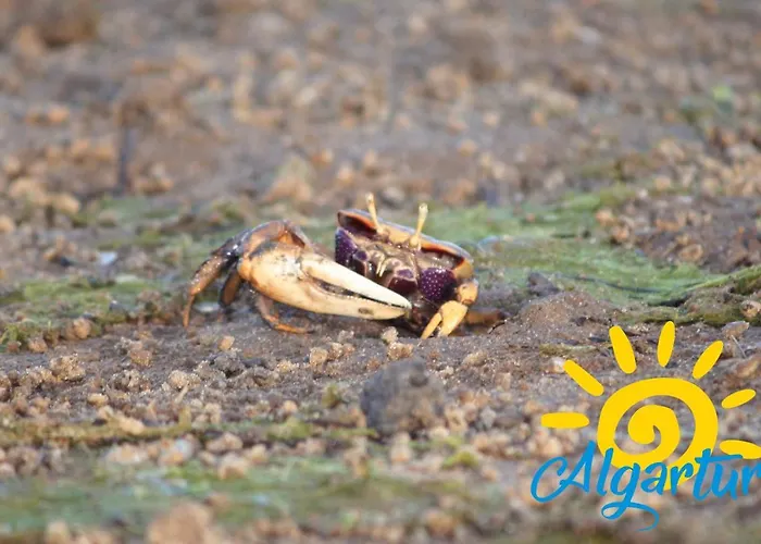 Pegada By Algartur Apartment Tavira