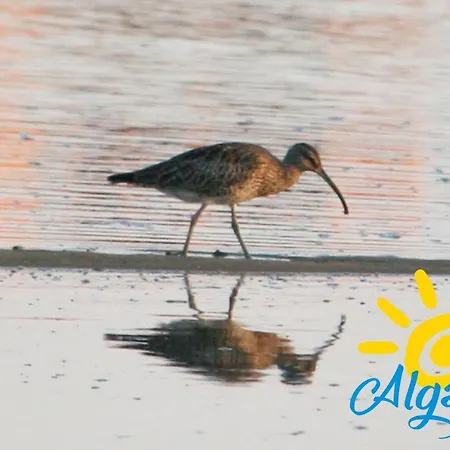 Pegada By Algartur Tavira